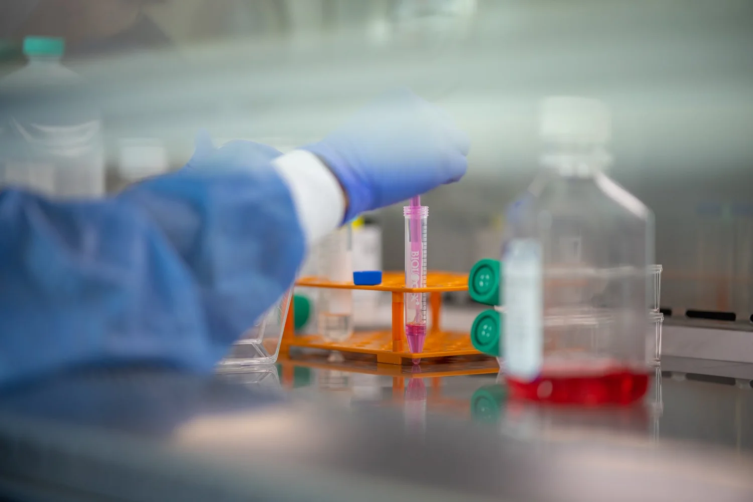 Renue's Laboratory: Class 6 Onsite Lab